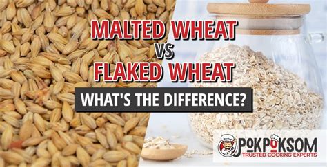 malted wheat vs raw flour.